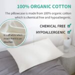 Organic Cotton Pillow Case