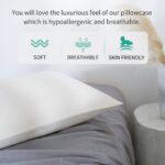 Organic Cotton Pillow Case