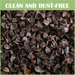 buckwheat hull