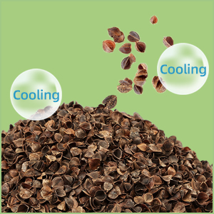buckwheat hull