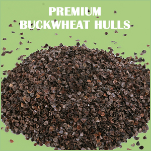 buckwheat hull