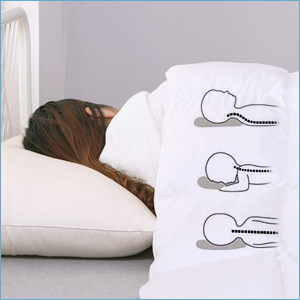 organic pillow adults