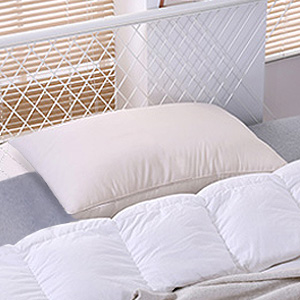 organic pillow for adults