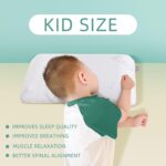 2.5'' Flat Pillows for Sleeping - Travel/Kid Size Thin Memory Foam Pillow for Stomach Sleeper, Camping Pillow with Removable Pillowcase, Flat Pillow for Spinal Support,