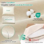 16''x22'' Organic Buckwheat Pillow - Image 2