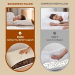 16''x22'' Organic Buckwheat Pillow - Image 5