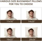 16''x22'' Organic Buckwheat Pillow - Image 6