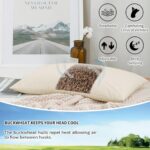 16''x22'' Organic Buckwheat Pillow - Image 7
